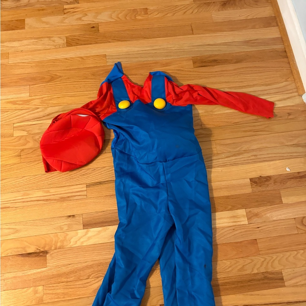 Mario Cart Costumes - Picture 4 of 6